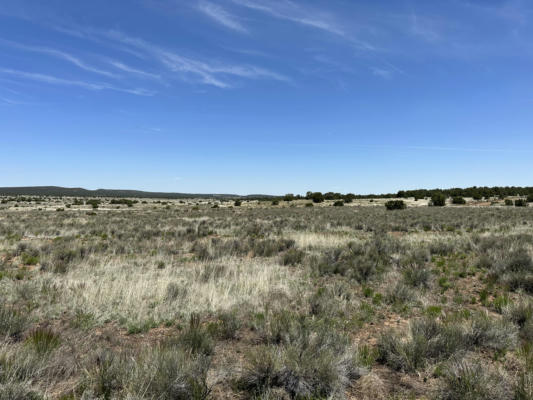 UNK BLUE HILLS TRAIL, PIE TOWN, NM 87827, photo 2 of 7