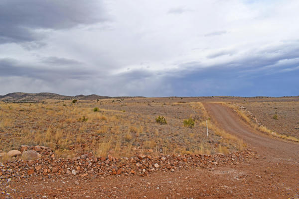 LOT 124 GOLDEN RIDGE ROAD, SAN ANTONIO, NM 87832, photo 5 of 60