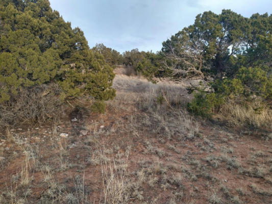 TRACT 7 BRIDLE PATH LOOP, MOUNTAINAIR, NM 87036, photo 5 of 13