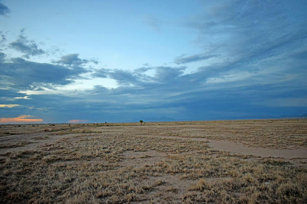 LOT 4 RIO DEL ORO # 3, LOS LUNAS, NM 87031, photo 3 of 29