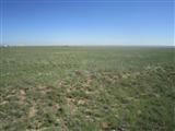 PALOMINO DR (LOT 23), MORIARTY, NM 87035, photo 1 of 5