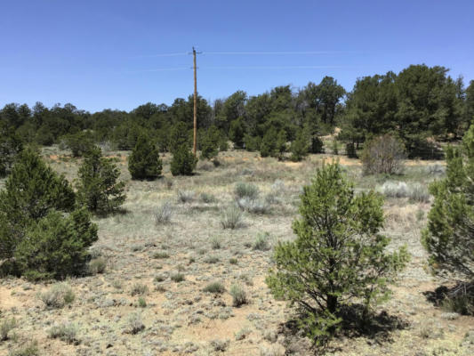 LOT 2 TIN CAN ALLEY ROAD, RAMAH, NM 87321, photo 5 of 30
