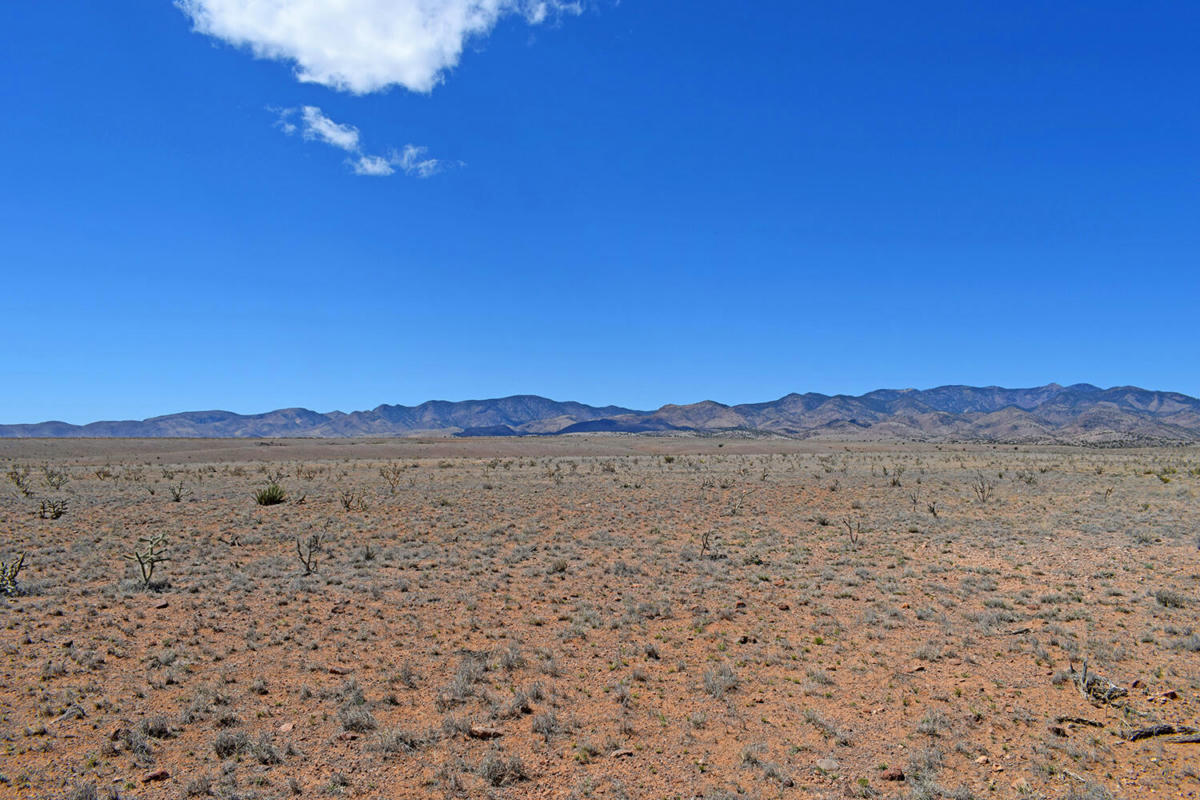 LOT 11 PRONG HORN ROAD, SAN ANTONIO, NM 87832, photo 1 of 60