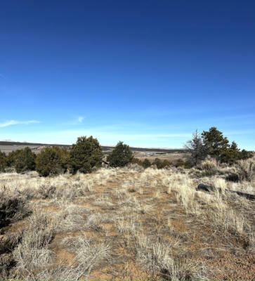 16 CAMINO MAESTAS, LA JARA, NM 87027, photo 3 of 13