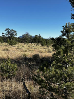 AGUA FRIA, QUEMADO, NM 87829, photo 2 of 5