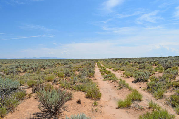 LOT 8 RIO DEL ORO # 12, LOS LUNAS, NM 87031, photo 4 of 14