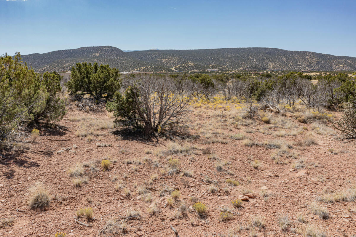 265 STAR MEADOW RD, PLACITAS, NM 87043, photo 1 of 25