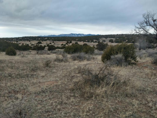 TRACT 8 BRIDLE PATH LOOP, MOUNTAINAIR, NM 87036, photo 3 of 19