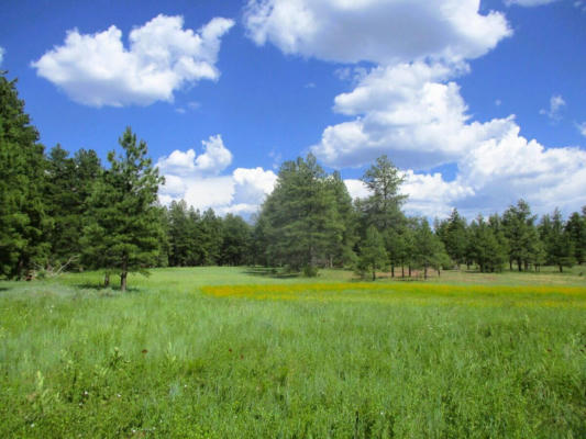 FOREST ROAD 157, RAMAH, NM 87321 - Image 1