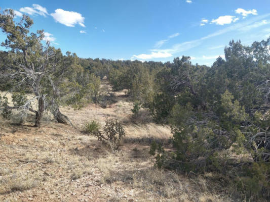 TRACT 5 BRIDLE PATH LOOP, MOUNTAINAIR, NM 87036, photo 5 of 8