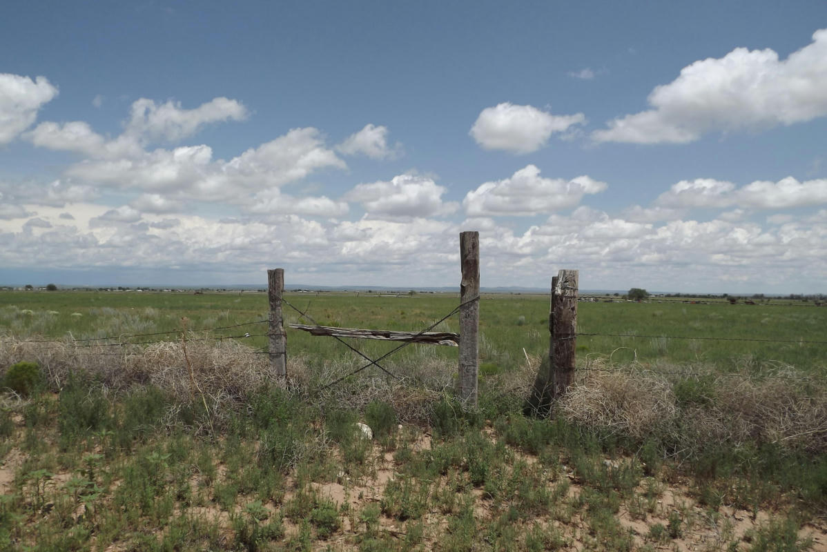 HOWELL WEST ROAD, MCINTOSH, NM 87032, photo 1 of 9