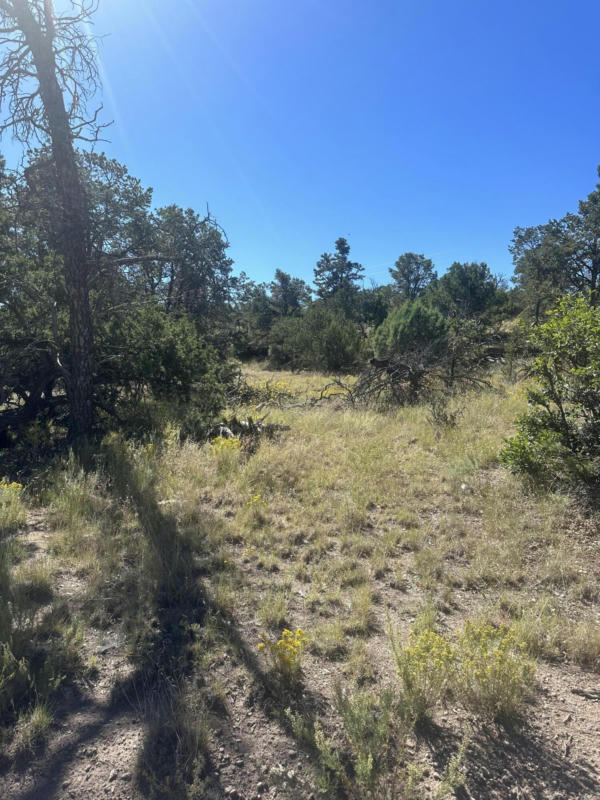 LOOKOUT CIRCLE, DATIL, NM 87821, photo 1 of 4