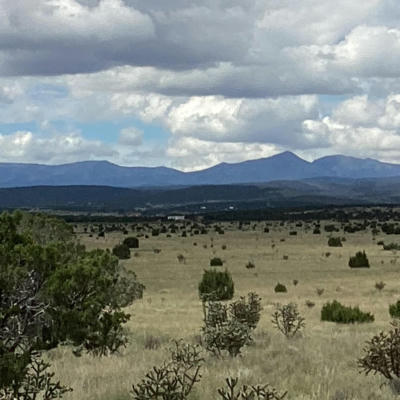 COUNTY RD A052 TRACT A, ESTANCIA, NM 87016, photo 3 of 6