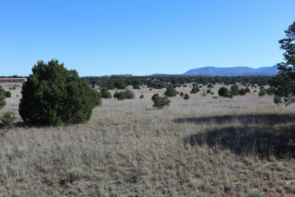 LOT 12 GREENS GAP RANCHES, DATIL, NM 87821, photo 3 of 6