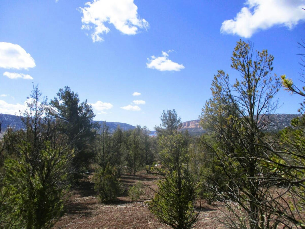 LOT 23 COPPERWEED ROAD, RAMAH, NM 87321, photo 1 of 80