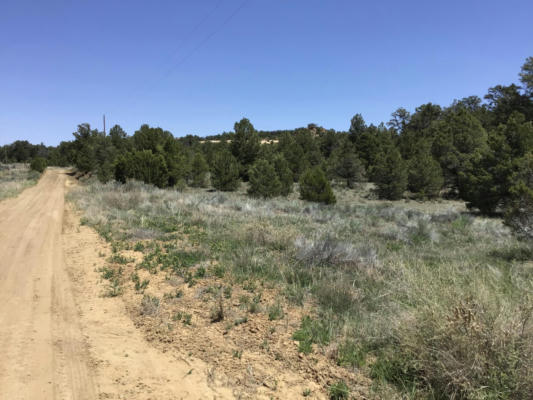 LOT 2 TIN CAN ALLEY ROAD, RAMAH, NM 87321, photo 4 of 30