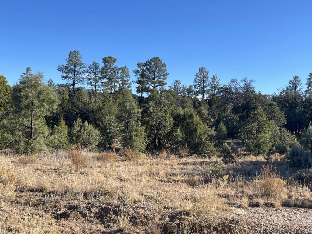 80 ACRES FOREST RD 220, MAGDALENA, NM 87825, photo 1 of 16