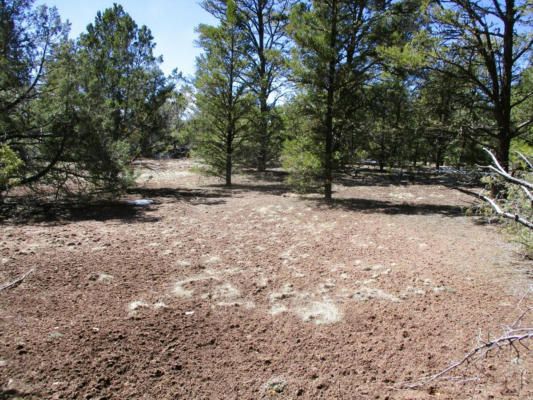LOT 5 COPPERWEED ROAD, RAMAH, NM 87321, photo 2 of 90
