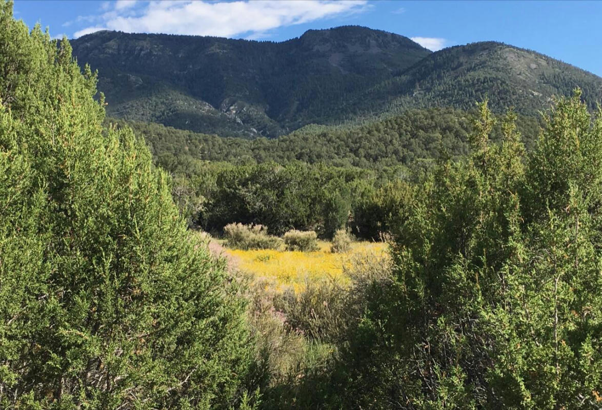 39.33 PATTERSON CANYON ACRES, MAGDALENA, NM 87825, photo 1 of 44