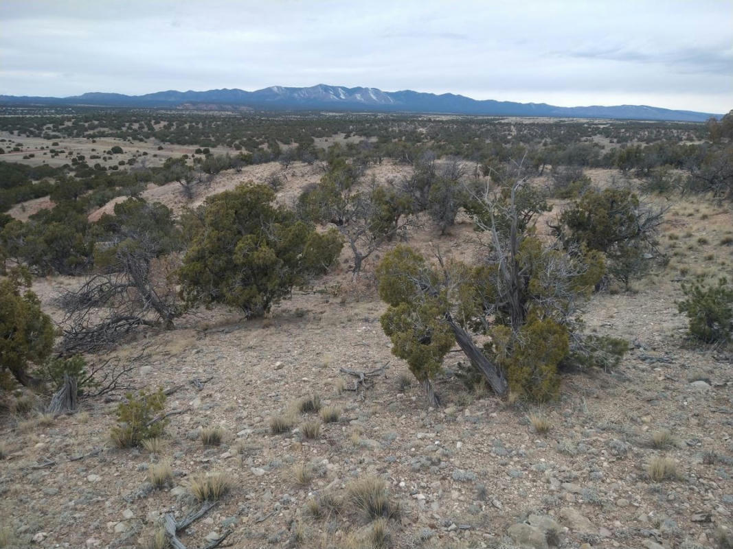 TRACT 6 BRIDLE PATH LOOP, MOUNTAINAIR, NM 87036, photo 1 of 19