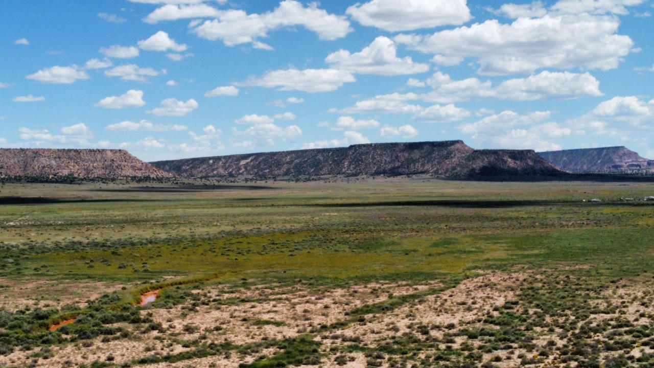 TBD COUNTY RD. 19, PREWITT, NM 87045, photo 1 of 26