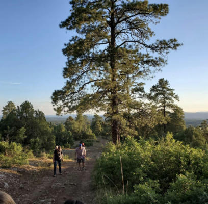 LOT NEAR CHAMA, TIERRA AMARILLA, NM 87575 - Image 1