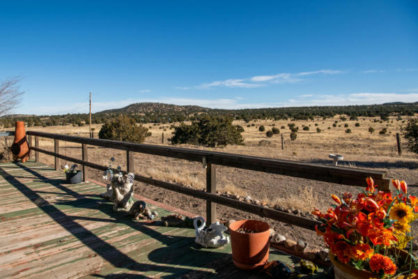 250 FRONTIER TRL, DATIL, NM 87821, photo 5 of 80
