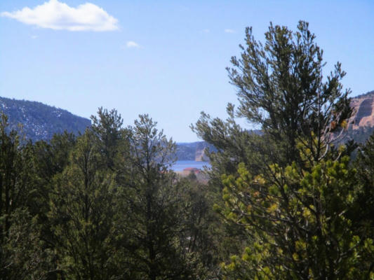 LOT 23 COPPERWEED ROAD, RAMAH, NM 87321, photo 2 of 80