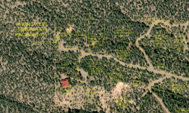 27 & 28 WEST RIVERS ROAD, RESERVE, NM 87830 - Image 1