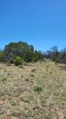 NORTH LOTS - CALLS PLACE, RAMAH, NM 87321, photo 4 of 37