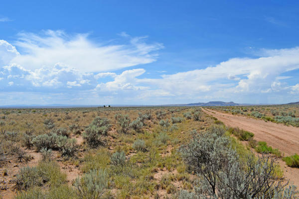 LOT 8 RIO DEL ORO # 9, LOS LUNAS, NM 87031, photo 3 of 20