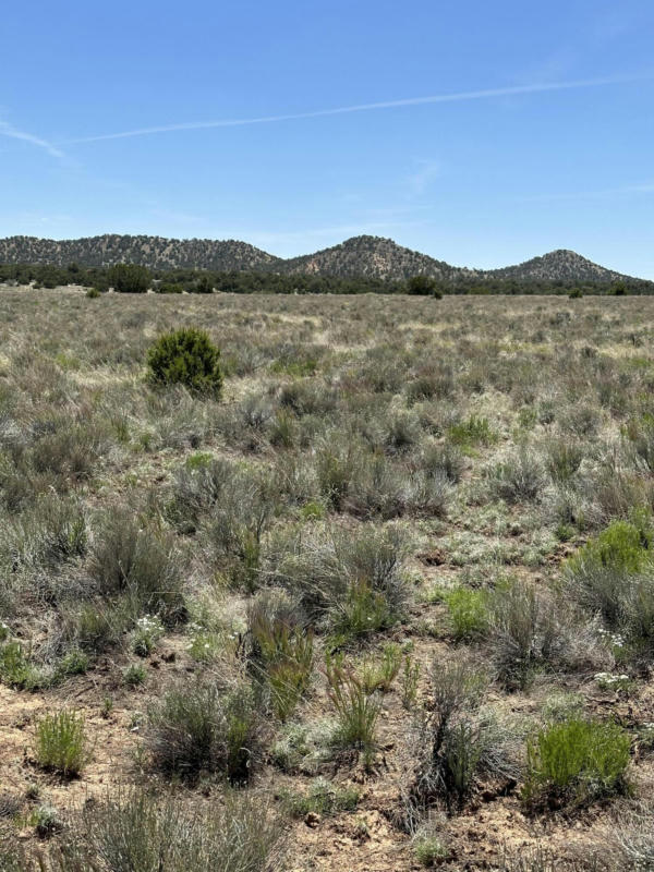 UNK BLUE HILLS TRAIL, PIE TOWN, NM 87827, photo 1 of 7