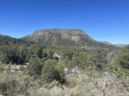 39.33 PATTERSON CANYON ACRES, MAGDALENA, NM 87825 - Image 1