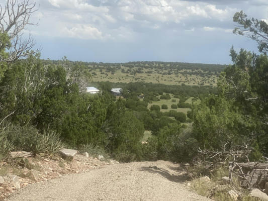 84 EL CERRO DRIVE, ENCINO, NM 88321 - Image 1