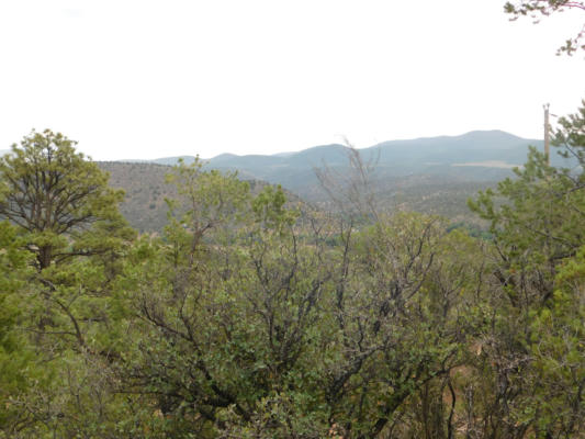 27 & 28 WEST RIVERS ROAD, RESERVE, NM 87830, photo 3 of 15