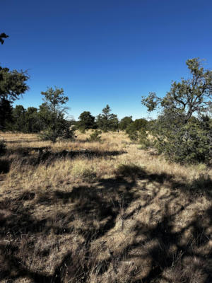 AGUA FRIA, QUEMADO, NM 87829, photo 4 of 5