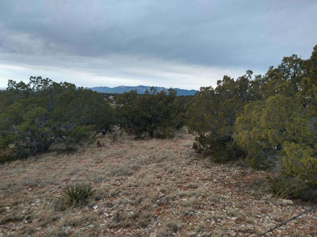 TRACT 8 BRIDLE PATH LOOP, MOUNTAINAIR, NM 87036, photo 1 of 19