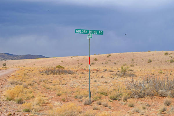 LOT 124 GOLDEN RIDGE ROAD, SAN ANTONIO, NM 87832, photo 3 of 60