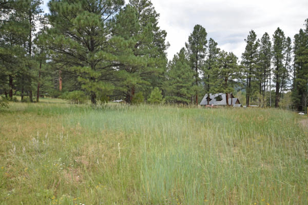 7 HIDDEN VALLEY RD, JEMEZ SPRINGS, NM 87025, photo 4 of 13