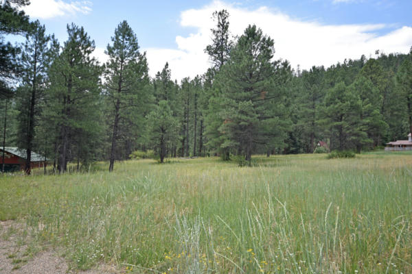 7 HIDDEN VALLEY RD, JEMEZ SPRINGS, NM 87025, photo 3 of 13