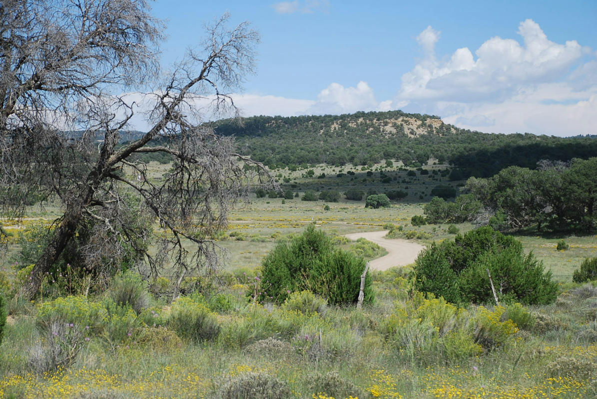 WILDHORSE SUBDIVISION 10 LOTS, PIE TOWN, NM 87827, photo 1 of 6