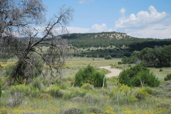 WILDHORSE SUBDIVISION 10 LOTS, PIE TOWN, NM 87827 - Image 1