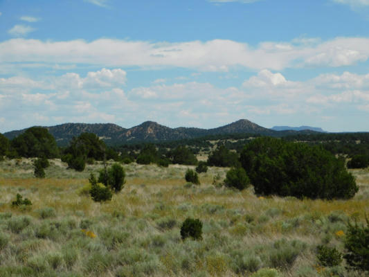 LOT 12 PINION TRAILS, PIE TOWN, NM 87827, photo 4 of 26