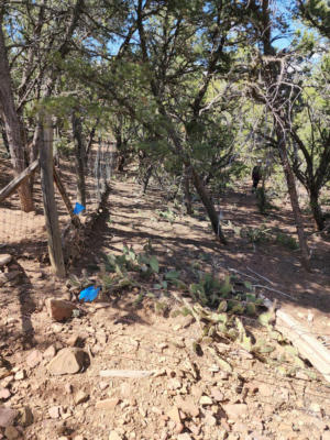 108 STEEPLECHASE DR, TIJERAS, NM 87059, photo 4 of 5