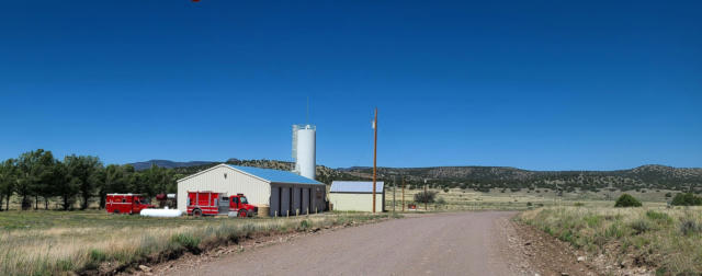 LOT 6 OLD THOMAS PLACE, DATIL, NM 87821, photo 3 of 33