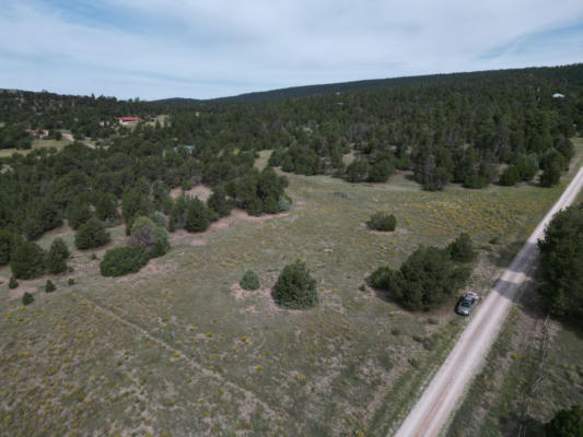 LOT 9 COPPERWEED ROAD, RAMAH, NM 87321, photo 4 of 46