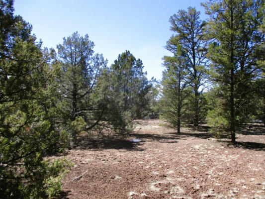 LOT 5 COPPERWEED ROAD, RAMAH, NM 87321, photo 3 of 90