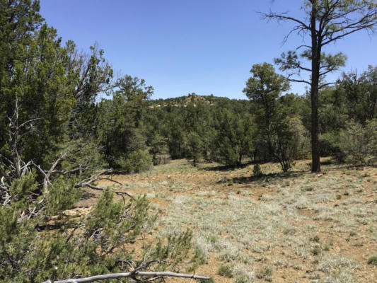 LOT 1 TIN CAN ALLEY ROAD, RAMAH, NM 87321, photo 3 of 22