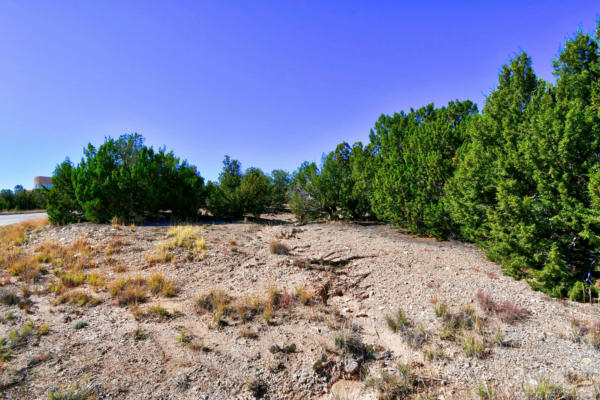 23 TECOLOTE CT, SANDIA PARK, NM 87047, photo 2 of 22