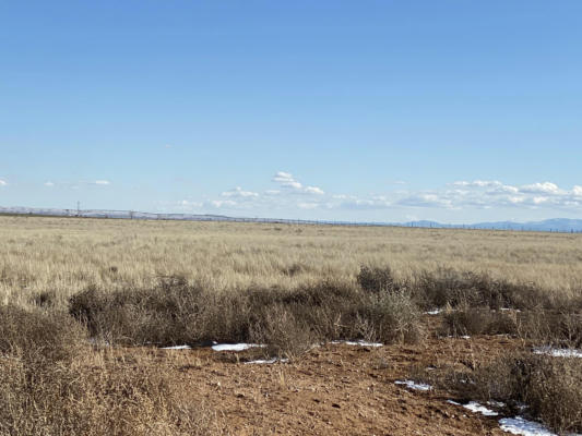 BLUEGRASS, TRACT 4 ROAD, ESTANCIA, NM 87016, photo 3 of 5